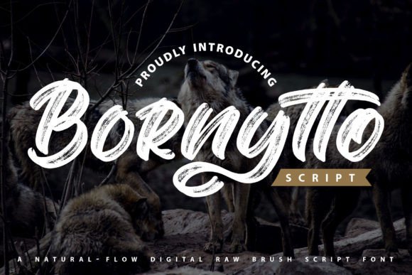 Bornytto Font: Elevating Digital Campaigns