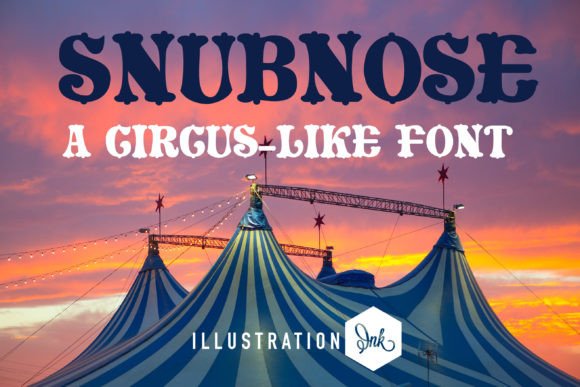 Snubnose Font: Bold Display Type for Handmade Labels
