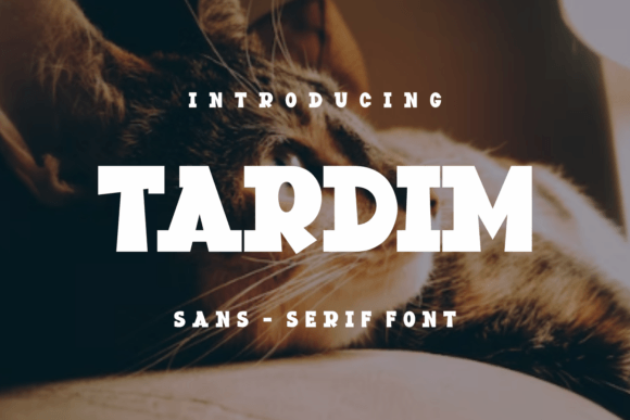 Tardim Font: A Bold Display Typeface for Web Design